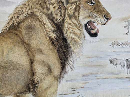 工笔雄狮!纯艺术-绘画108032年前素描虎头和狼!