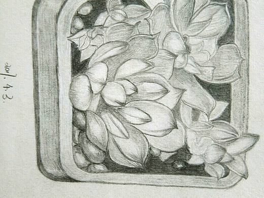 I just want to do something for the world …（個人主頁-ZMjMzMzA4ODA=） - 創(chuàng)作習作 - 站酷設計師舉頭三尺有Joan原創(chuàng)素材 - 站酷ZCOOL