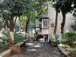 川美校园
