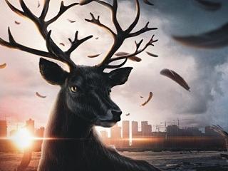 麓视觉生长——优点时期1