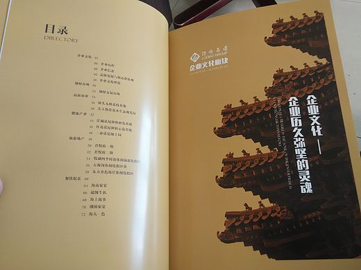 某某集团画册