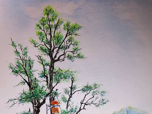 回去了才叫家乡