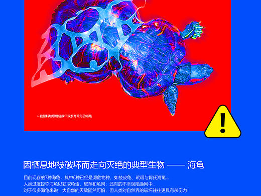 保护海洋生态，环保主题海报