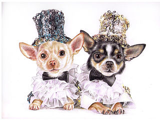 色鉛筆的寵物萌繪封面（個人主頁-ZMzU0ODkyOA==） - 創(chuàng)作習(xí)作 - 站酷設(shè)計師Zealxin原創(chuàng)素材 - 站酷ZCOOL