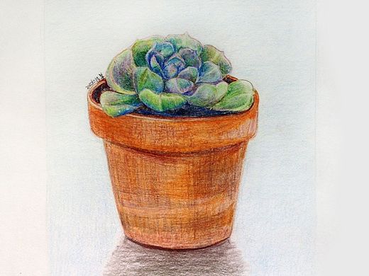 铅笔绘画-多肉（个人主页-ZMTM3MDY0MDg=） - 创作习作 - 站酷设计师羊仔咩咩咩原创素材 - 站酷ZCOOL