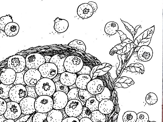 硕果累累插画-创作习作41003年前温柔的海插画-创作习作22113年前皮皮