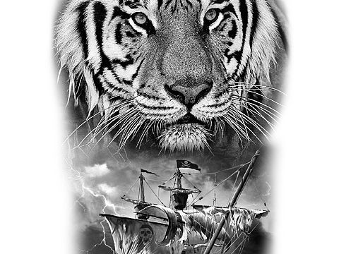 老虎｜刺青参考手稿｜参考原创｜南昌纹身