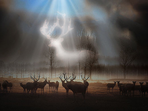 鹿王（个人主页-ZNTc1NjA3NDA=） - 风光摄影 - 站酷设计师Z74021607原创素材 - 站酷ZCOOL