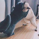 Dunerrr的头像