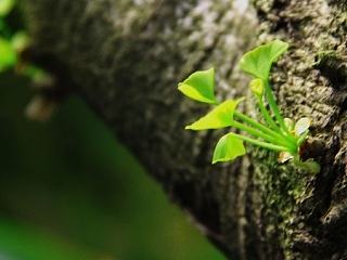 随手拍（个人主页-ZNzg3NTQ1Ng==） - 风光摄影 - 站酷设计师zora慧原创素材 - 站酷ZCOOL