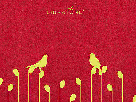 小鸟音响-包装设计-三款（个人主页-ZMjE5NzI1MjQ=） - 图案 - 站酷设计师lilisa2020原创素材 - 站酷ZCOOL