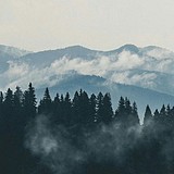 阿木木0103的头像