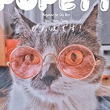 kakakakakkaya的头像