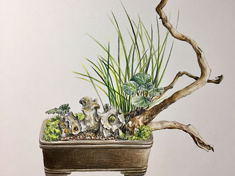 彩鉛微景觀盆景（個(gè)人主頁(yè)-ZMjY4MTE5NDQ=） - 繪畫 - 站酷設(shè)計(jì)師OK小畫原創(chuàng)素材 - 站酷ZCOOL