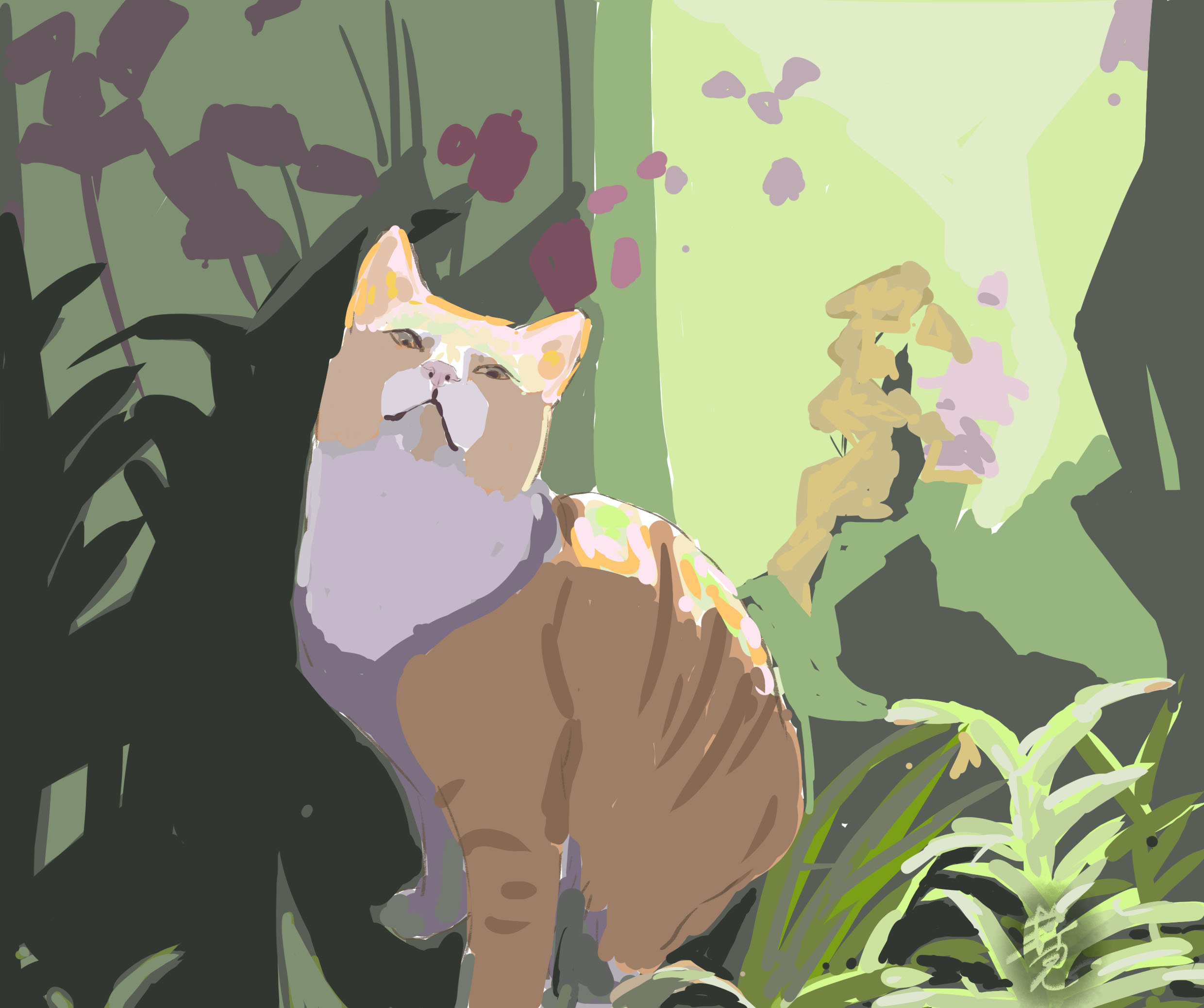 草丛中的小猫咪44586_猫咪_动物类_图库壁纸_68Design
