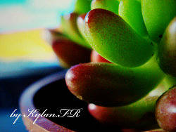 【原創(chuàng)】Kylan的小pic~（個人主頁-ZMzQ1MjY4） - 產(chǎn)品攝影 - 站酷設(shè)計師Kylan原創(chuàng)素材 - 站酷ZCOOL