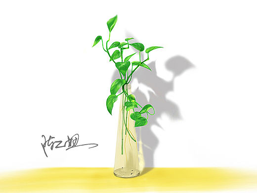 手绘桌面静物绿萝（个人主页-ZMTU2NTU0MDA=） - 创作习作 - 站酷设计师陈小仙儿原创素材 - 站酷ZCOOL