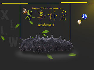 春季补身 海参详情
