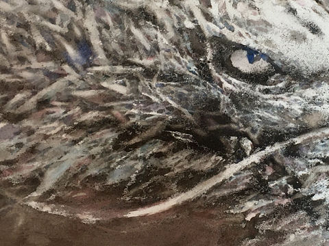 龍（個人主頁-ZMjYzNTA4OTY=） - 繪畫 - 站酷設計師雅拉麻席原創(chuàng)素材 - 站酷ZCOOL