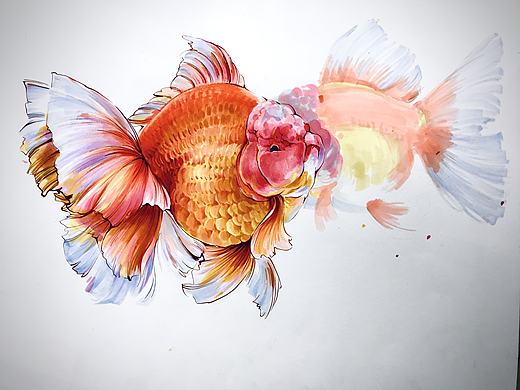 马克笔塑造 课堂示范校考设计