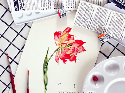 小花的水彩～一缕圣火燃～
