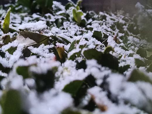 初雪（个人主页-ZMzE1OTM5MTY=） - 风光摄影 - 站酷设计师在下圆滚滚原创素材 - 站酷ZCOOL