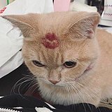 SunjunT的头像