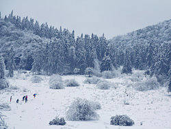 没有仙女的仙女山