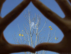 翻出来的海洋·海洋乡