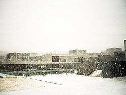 这个冬天雪还不下，站在路上眼睛不眨