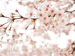 春天的随便乱照（个人主页-ZNzAyOTcy） - 风光摄影 - 站酷设计师chobi原创素材 - 站酷ZCOOL