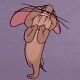SZY小志的头像