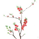 洛洛水彩的头像