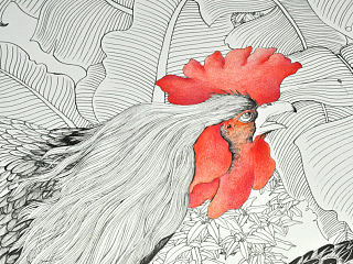 针管笔画——鸡