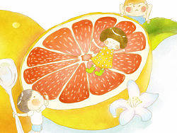 水彩插画 清爽西柚~