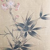 张田伟的头像
