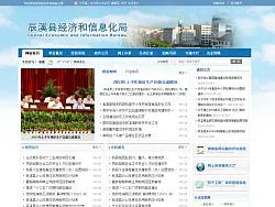 政府门户网站首页设计 经济和信息化局 
