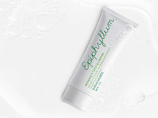 昙花系列产品海报设计