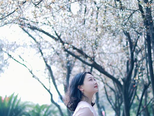 长沙拍照打开新天地：人少绝美的樱花树林，辛苦模特真