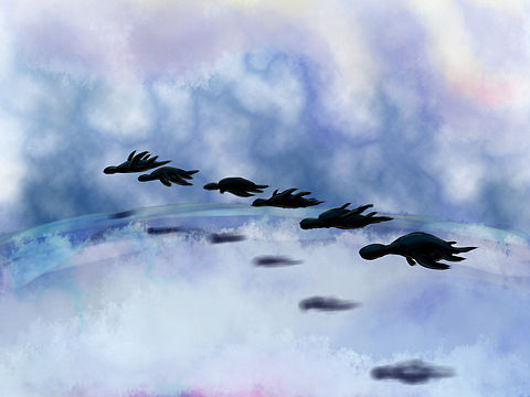 海龟们飞过大海