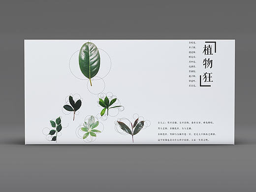平面-植物狂
