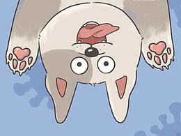 插画