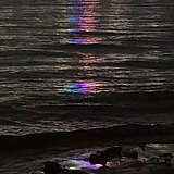 维Cccccc的头像
