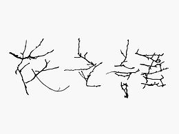 变体美术字