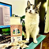 午睡的猫hhh的头像
