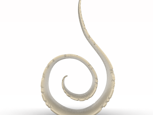 甲骨文雕塑建模设计