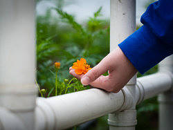 盛开（个人主页-ZMjA5OTI1Ng==） - 产品摄影 - 站酷设计师allenchen214原创素材 - 站酷ZCOOL