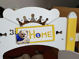 宠物狗狗窝门牌设计