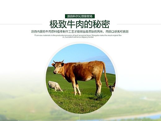 牛肉干 详情页
