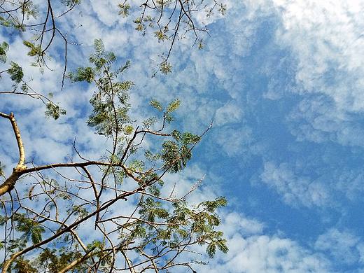 走走停停（个人主页-ZMzMwMTExNzY=） - 人文/纪实摄影 - 站酷设计师阿圆圆_Ayuan原创素材 - 站酷ZCOOL